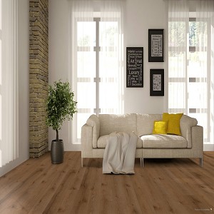 Concorde Oak